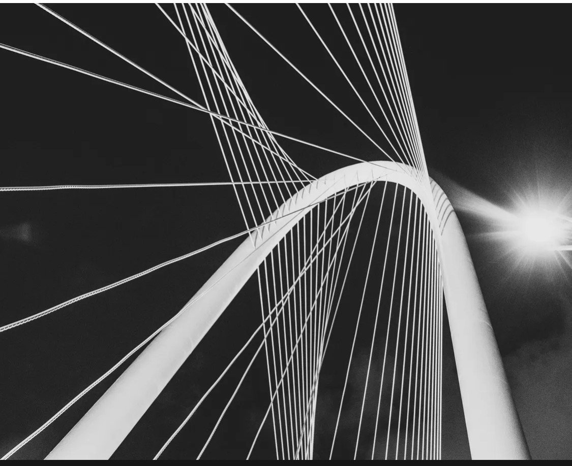 Black-and-white bridge cables and sun